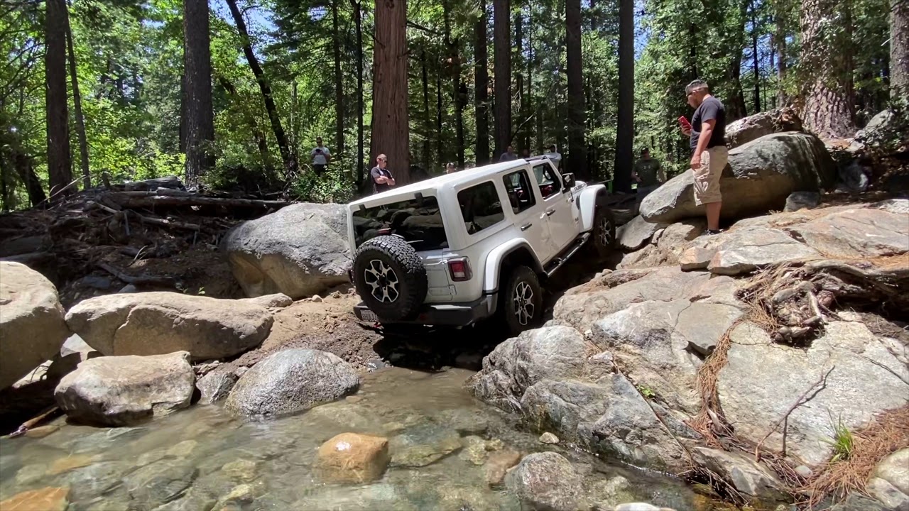 Sourgrass Trail - June 2020