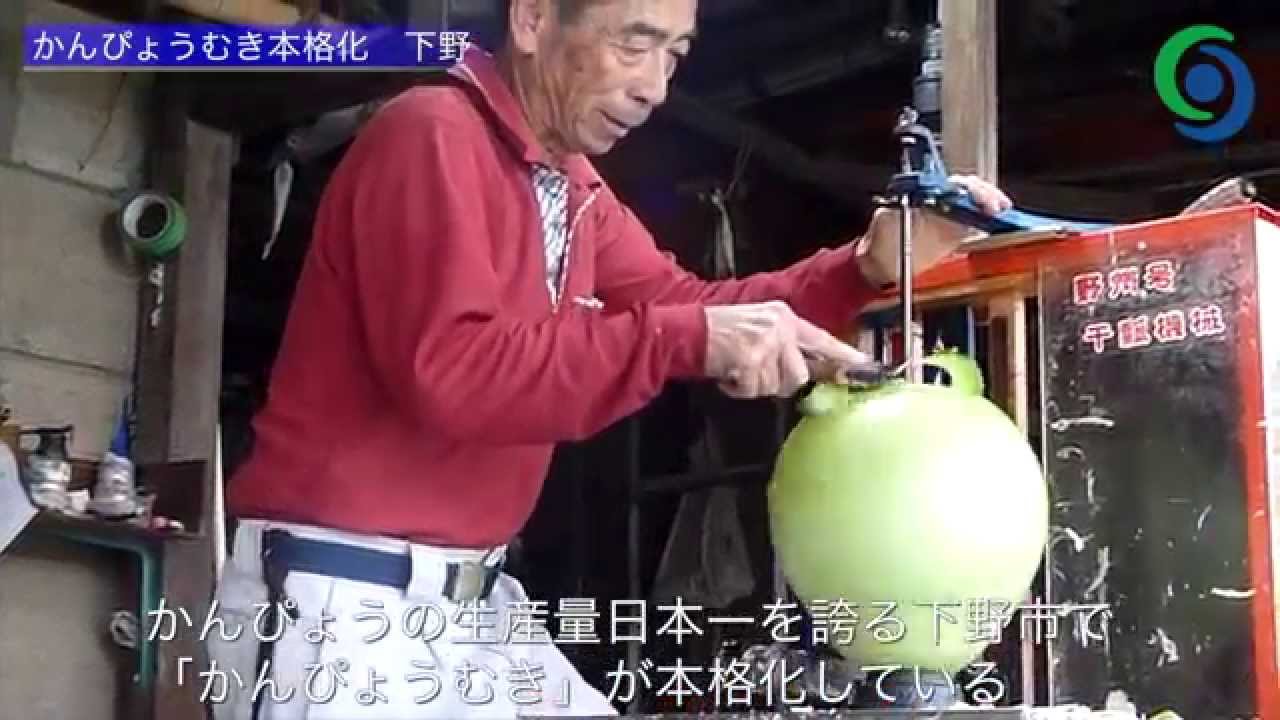 かんぴょうむき本格化　下野