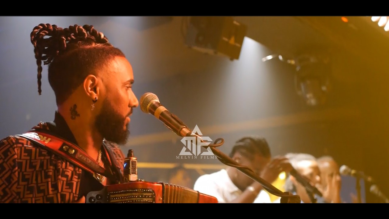 EL DIAMANTE NEGRO - MALA MAÑA  3.0 (EN VIVO) / PARA MUSICOLOGO