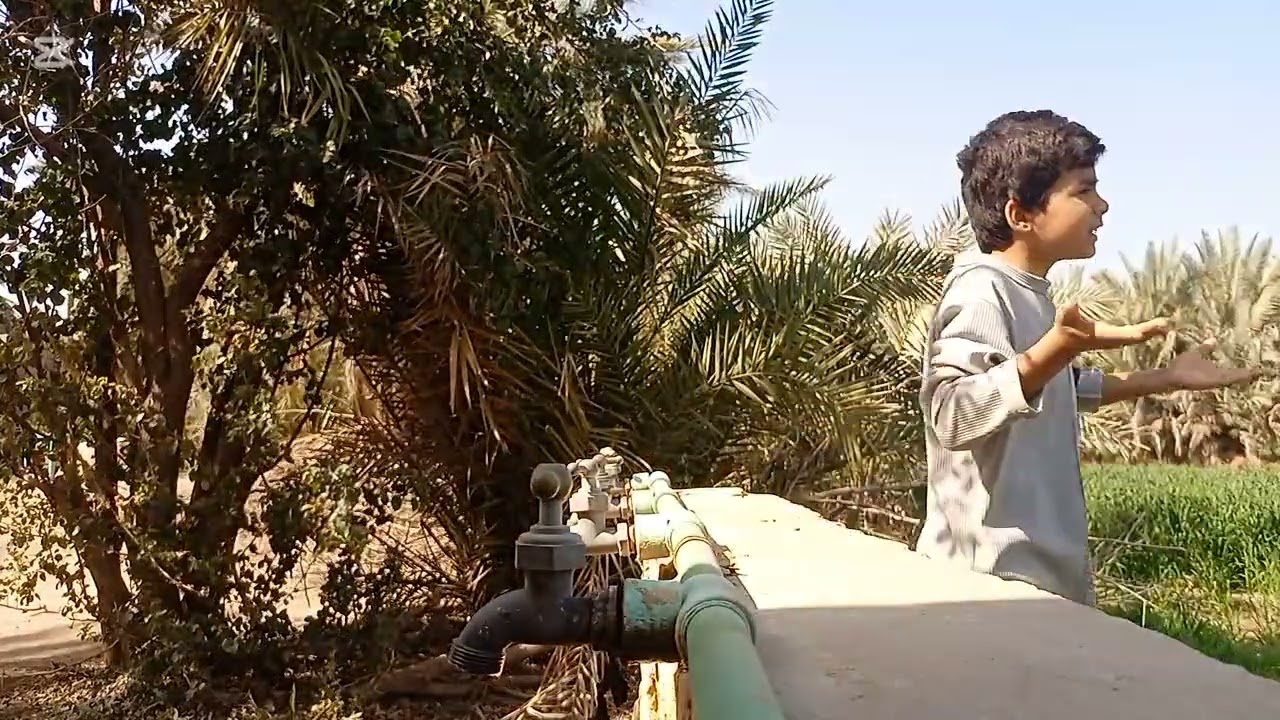 صاحبك اللي يبوق منك فلوس وما يرجعه وصارت مشاكل