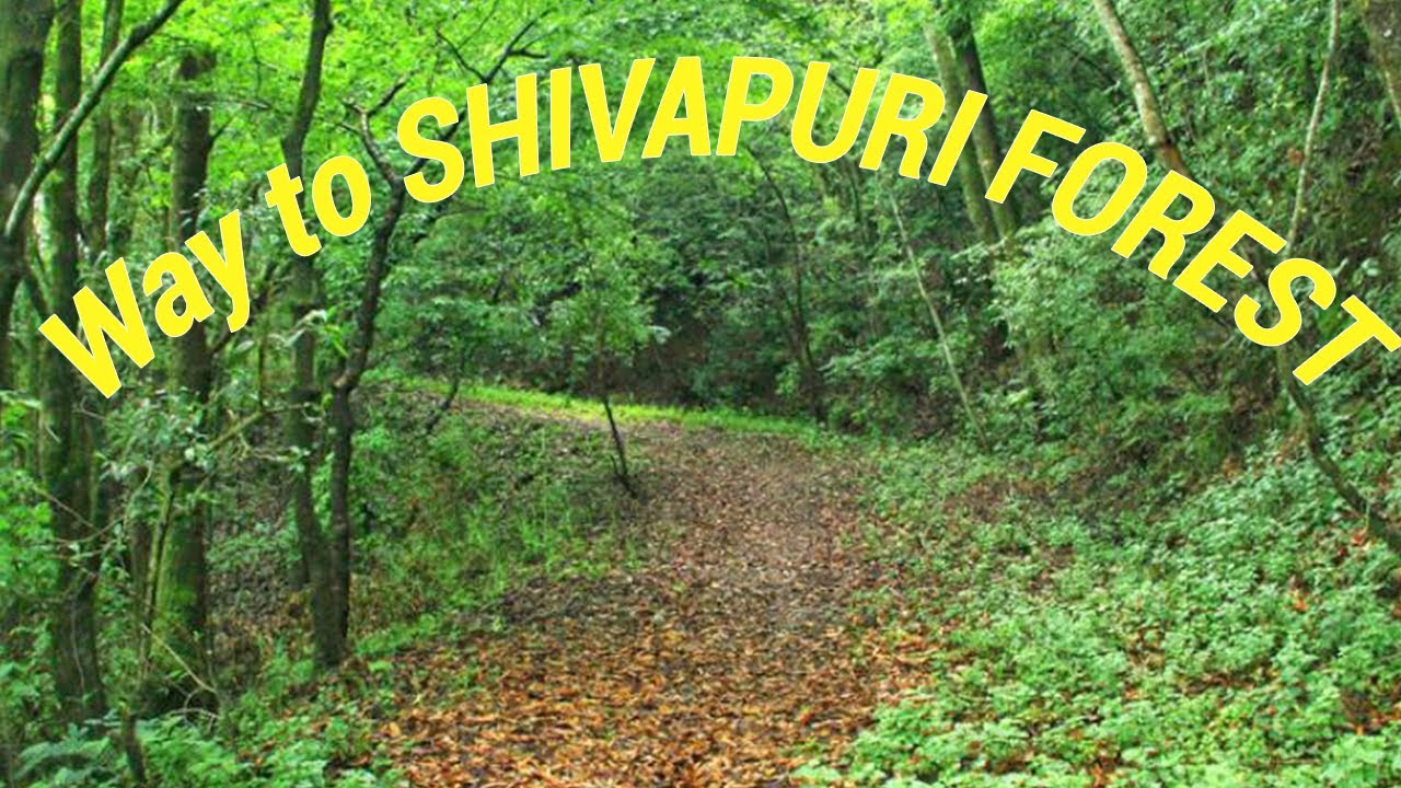 MotoVlog Episode:01- Ride to SHIVAPURI FOREST