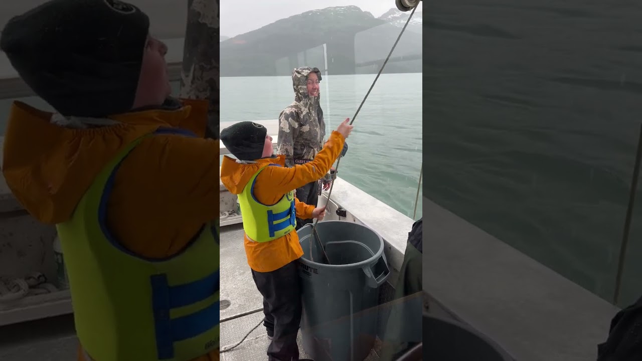 Pulling the Shrimp Pots