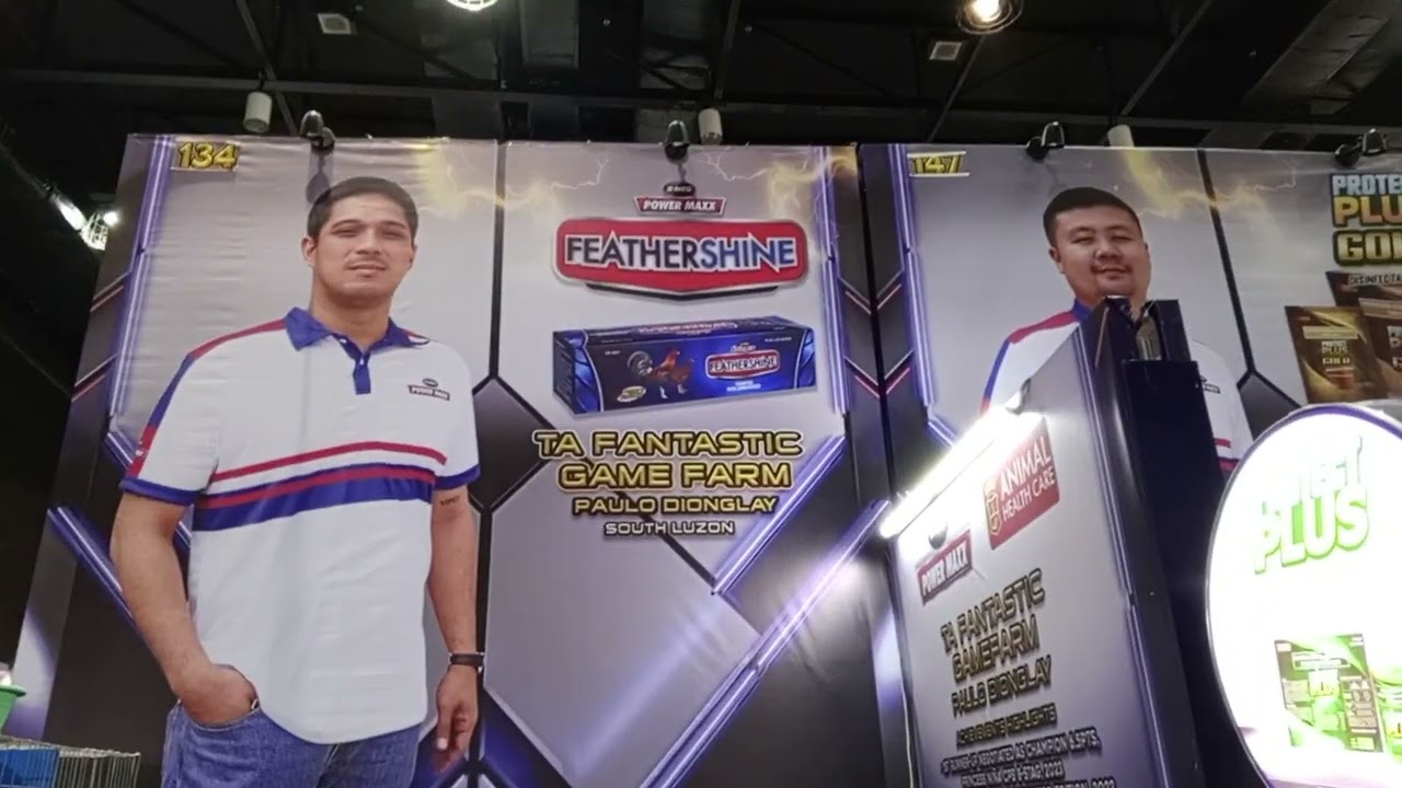 World gamefowl Expo 2025 / last day/daming mura