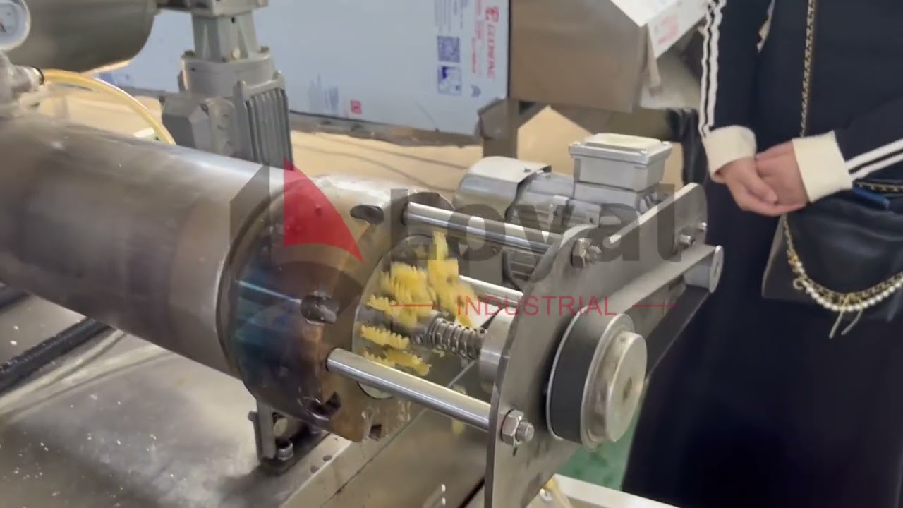 🎥 Zambia Customer Pasta Machine Trial – Model 100 Running Smoothly! 🇿🇲#pastamachine