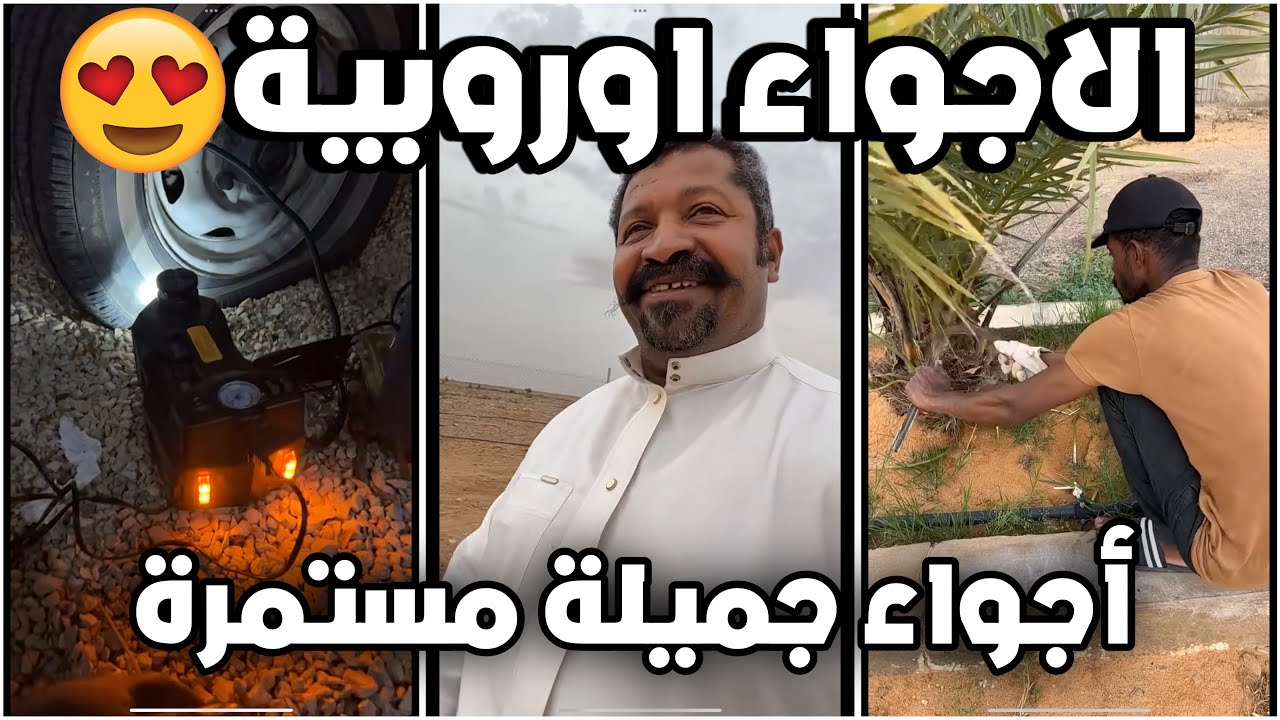 يوميات رجل البرية | الاجواء الجميلة مستمرة خامس رمضان | 15 - 3 - 2024