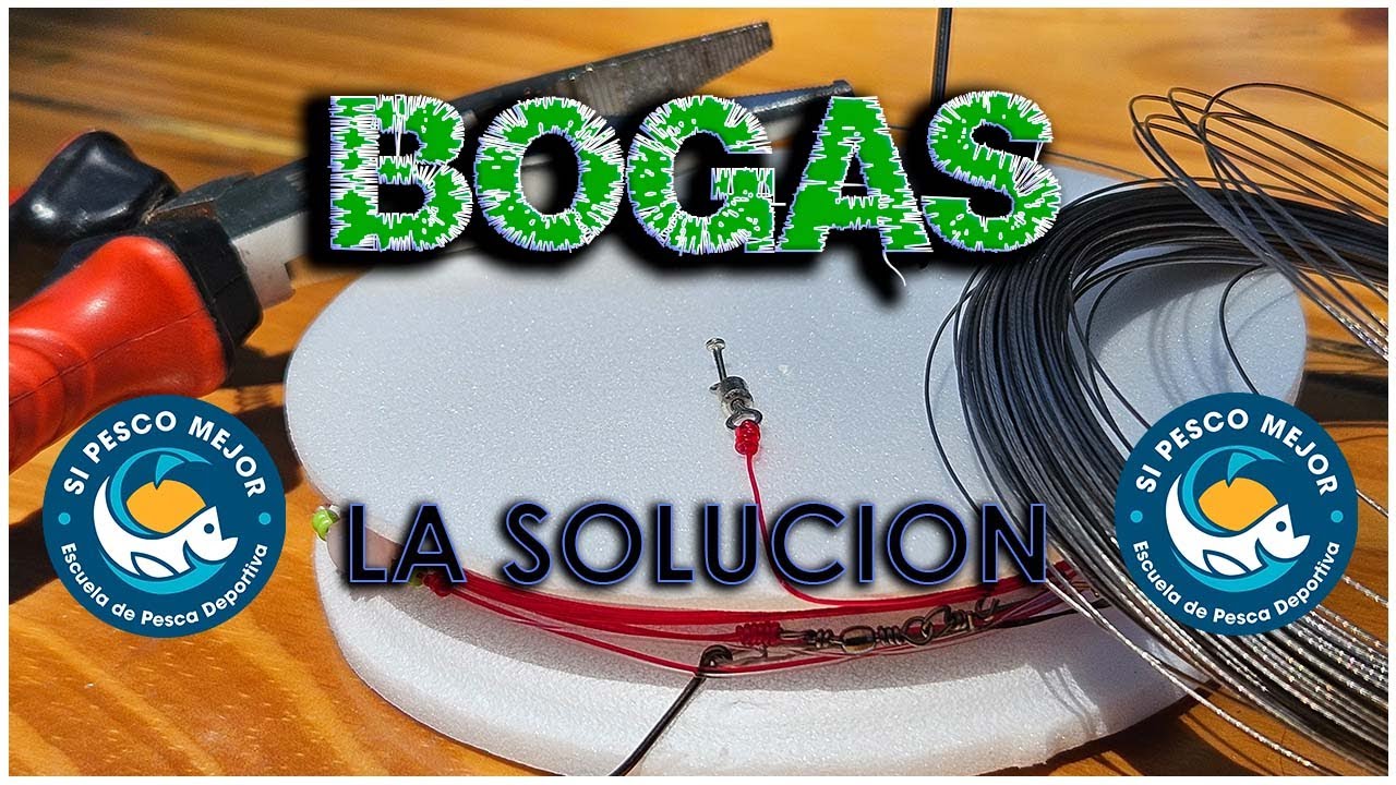 BOGAS ANTI PALOMETAS / PRO DORADOS !!!
