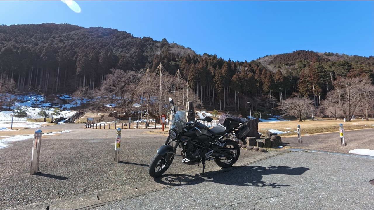 【CB250R】2026年2月17日 淡墨桜