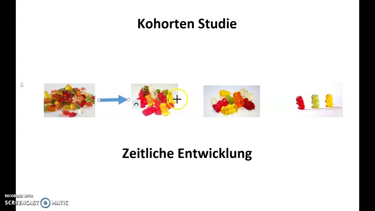Kohorten Studie