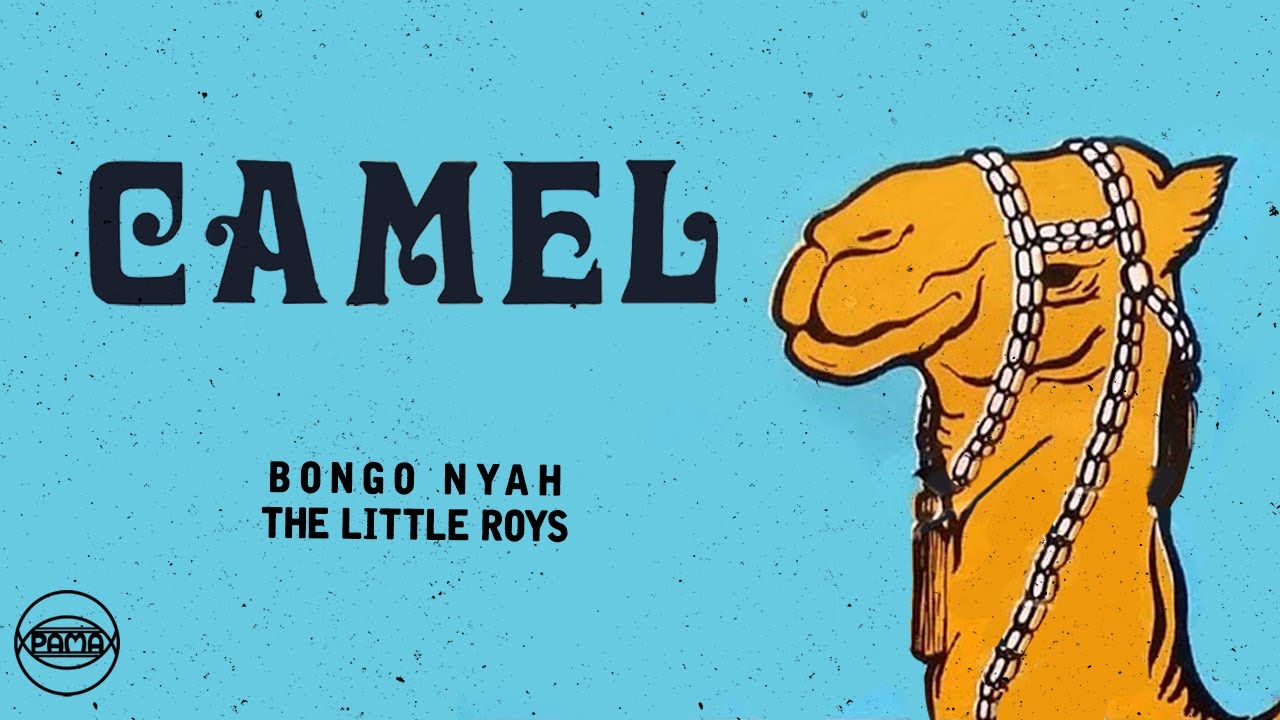 The Little Roys - Bongo Nyah (Official Audio) | Pama Records