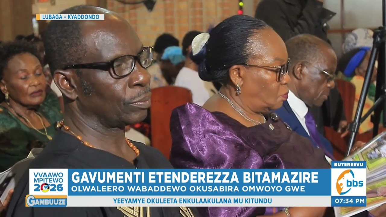 Okusabira Omwoyo gwa Namirembe Bitamazire, Gavumenti Emutenderezza