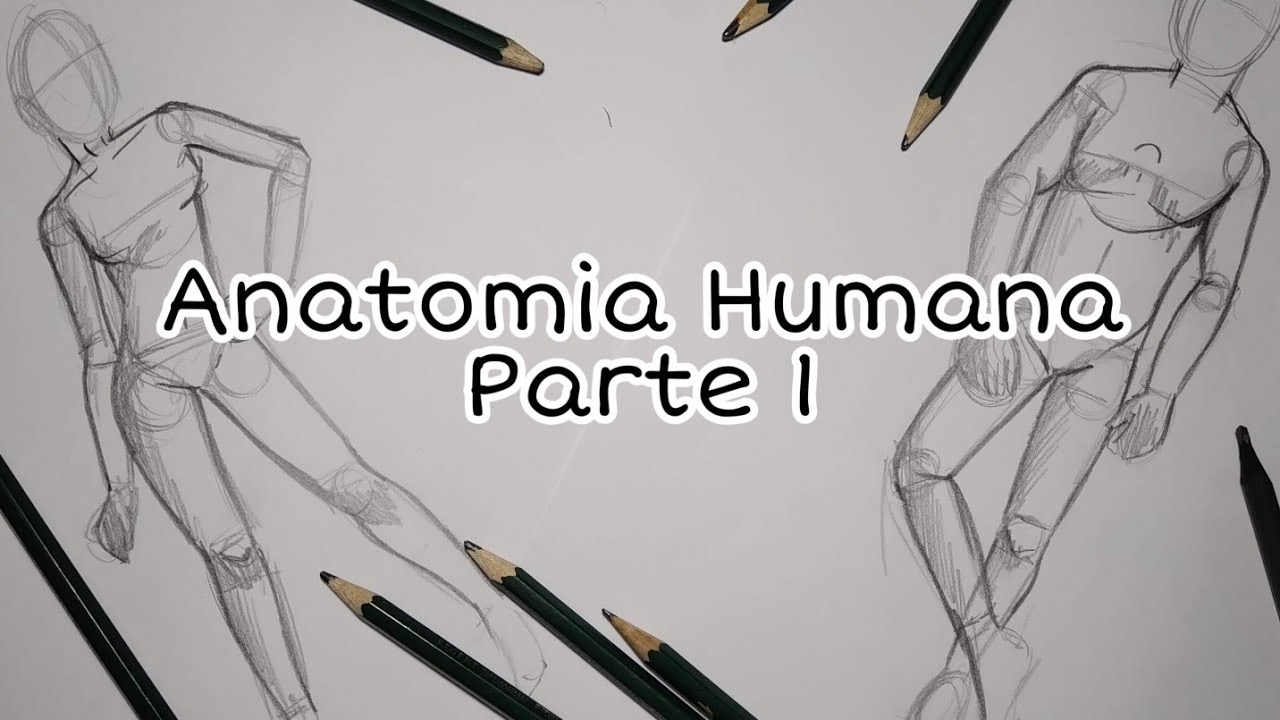 Anatomia Humana fácil - Aula de desenho 4#