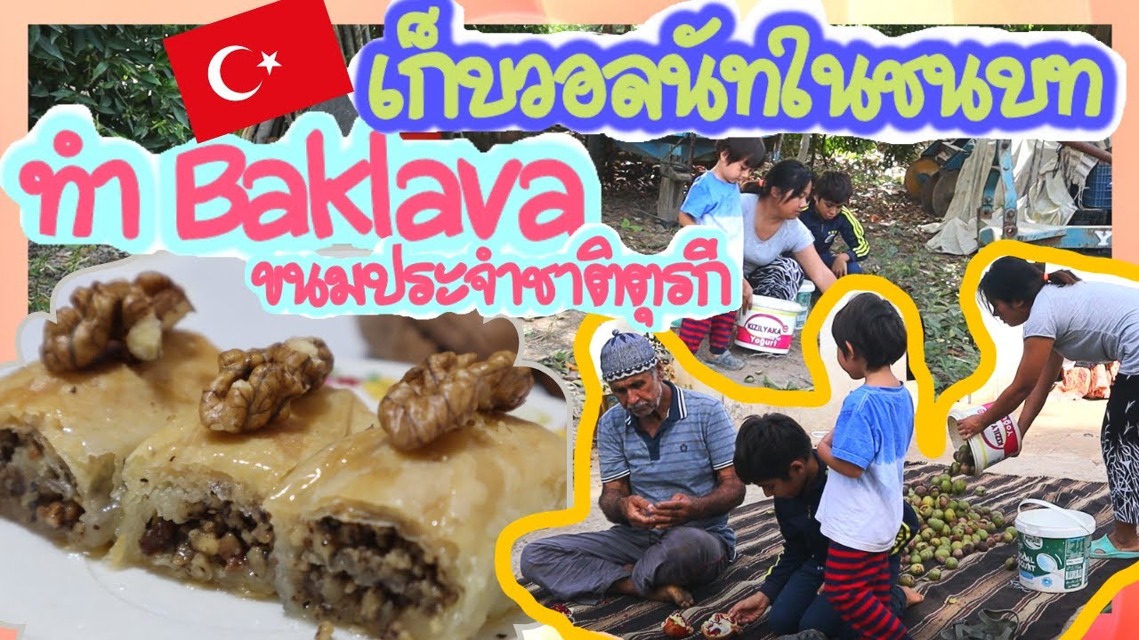 EP.46 ช่วยพ่อแม่สามีเก็บวอลนัท ทำบัคลาว่าBaklava ขนมประจำชาติตุรกีที่หลายคนชื่นชอบ (รีดแป้งครั้งแรก)