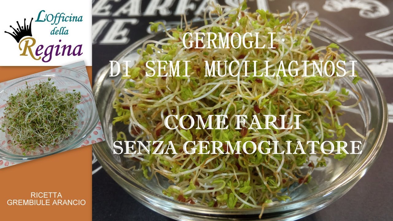Germogli di semi mucillaginosi - Come farli senza germogliatore