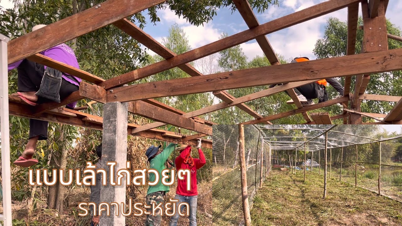 สร้างเล้าไก่เลี้ยงไก่พื้นบ้าน แบบเล้าไก่สวยๆราคาประหยัด | เฮือนเฮาพาเฮ็ด EP.10