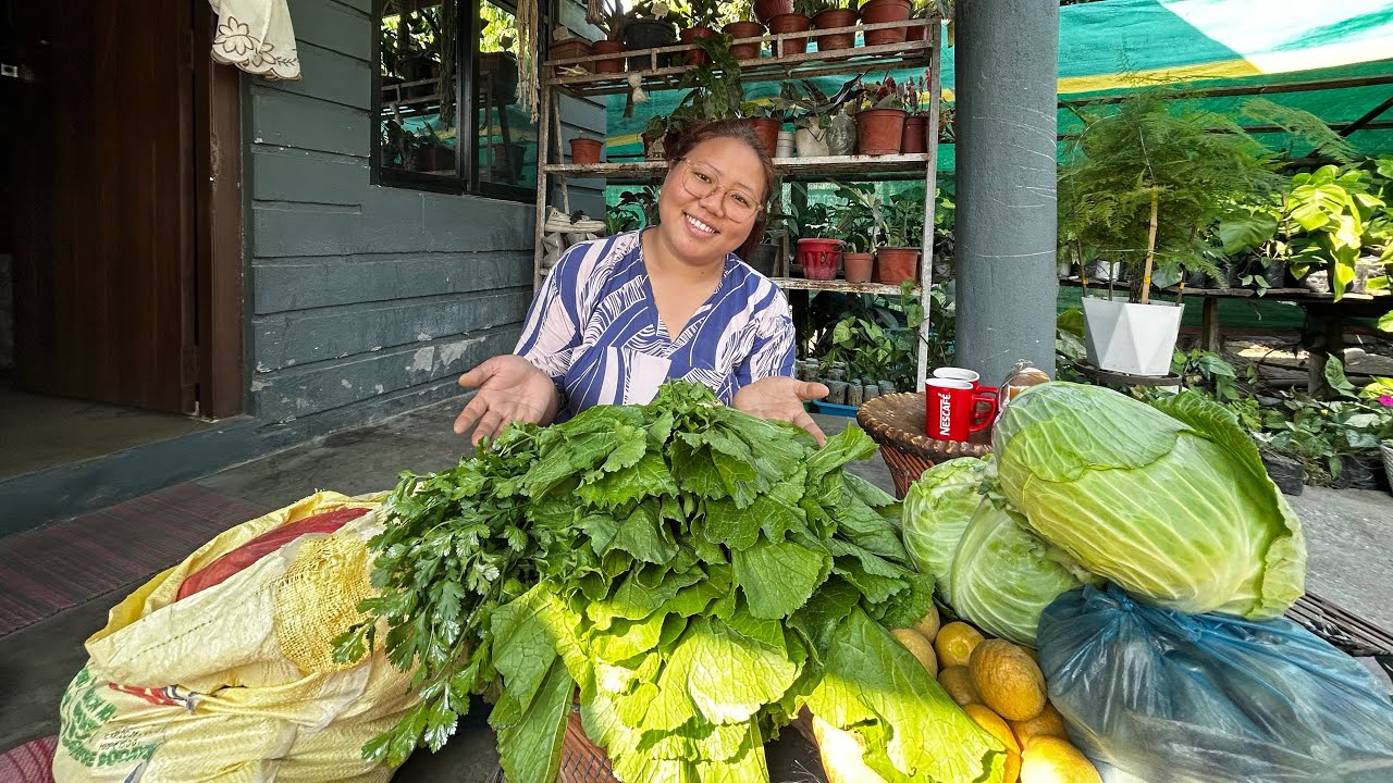 Organic kura haru lera aaudai xum hai sathybhai haru🥰🙆‍♀️ @Saharagarden_2023  #greenvegetables 