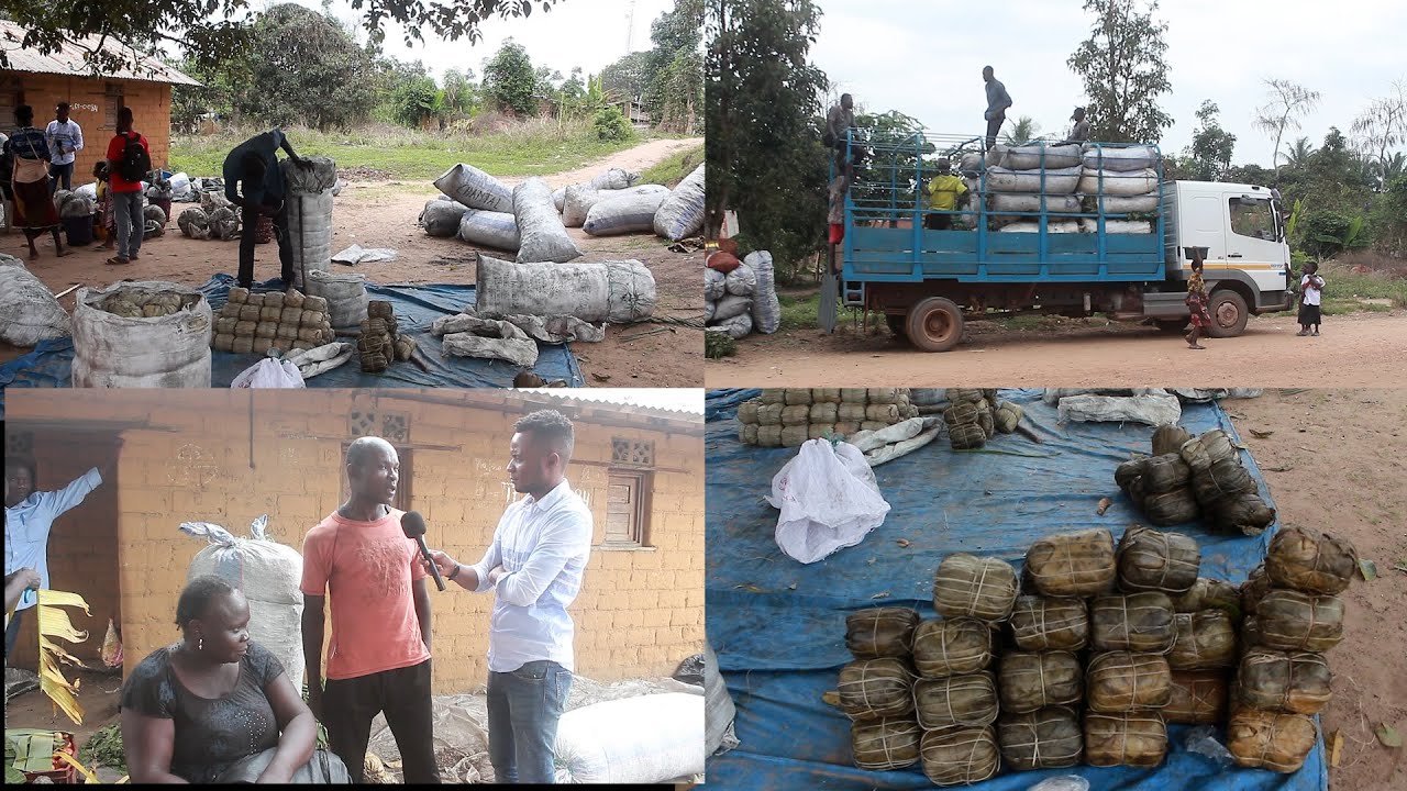 DECOUVERTE KONGO CENTRALE NA VILLAGE NGEBA BOTALA PASI YA BA COMMERÇANT AVEC REZY MAKENGO PARTIE 2