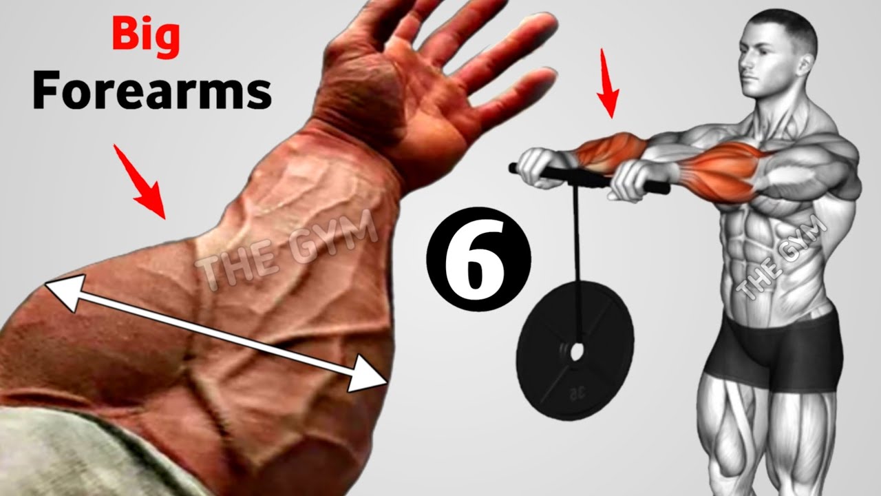 6 Effective Forearm Exercises for Bigger Arms | Gym Workout