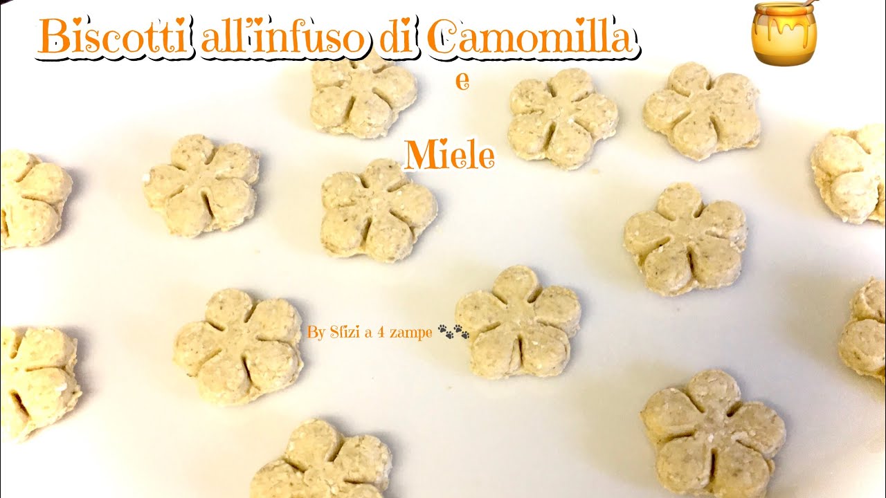 BISCOTTI PER CANI all’infuso di Camomilla e Miele-COOKIES FOR DOGS infused with Chamomile and Honey-