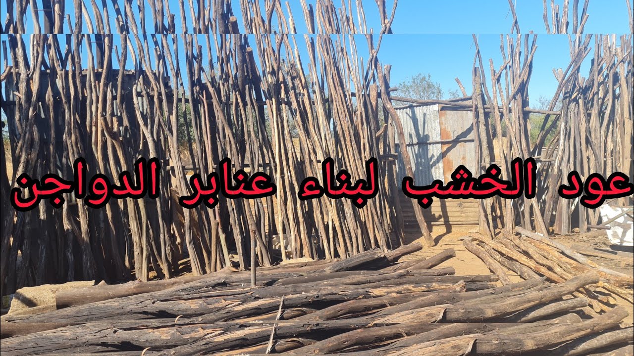هادا هو العود لي غانستعمل غي بناء العنبر 