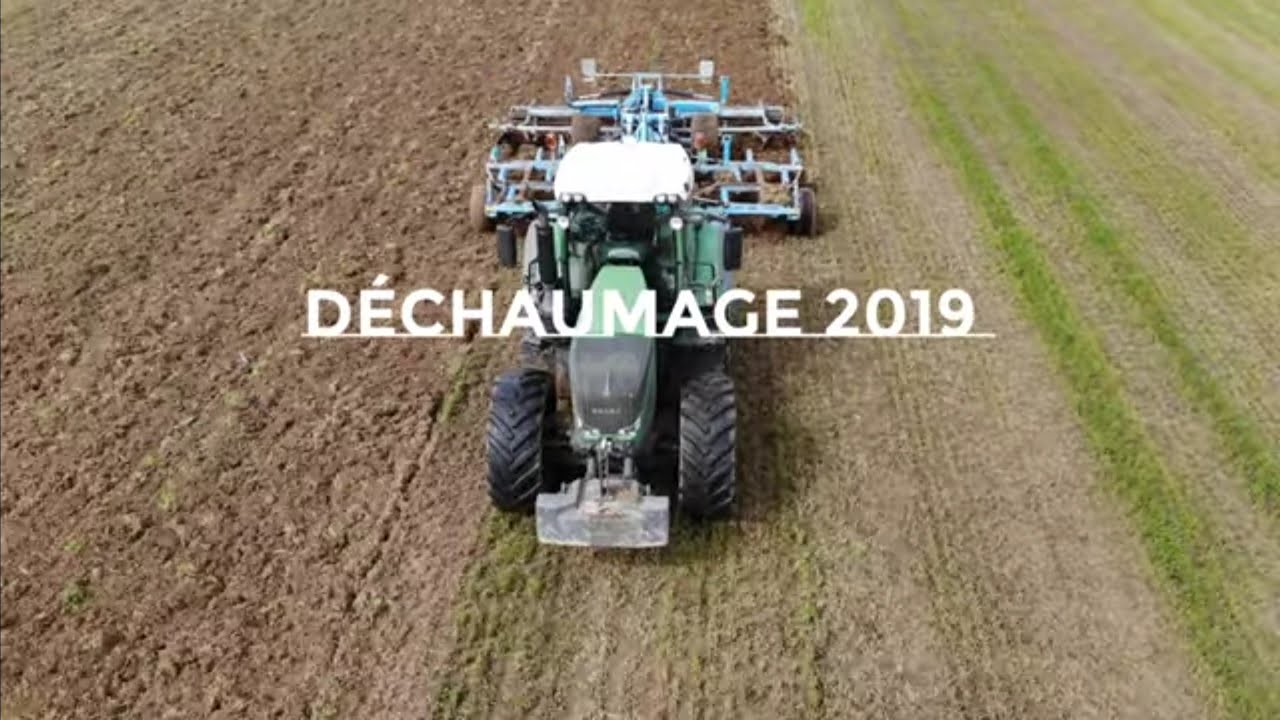 DÉCHAUMAGE RAYGRASS 2019