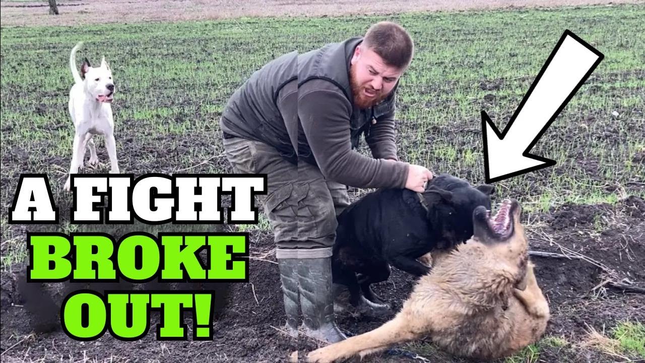 I Dived with a Giant Tuna in Hades—What a Wild Experience!