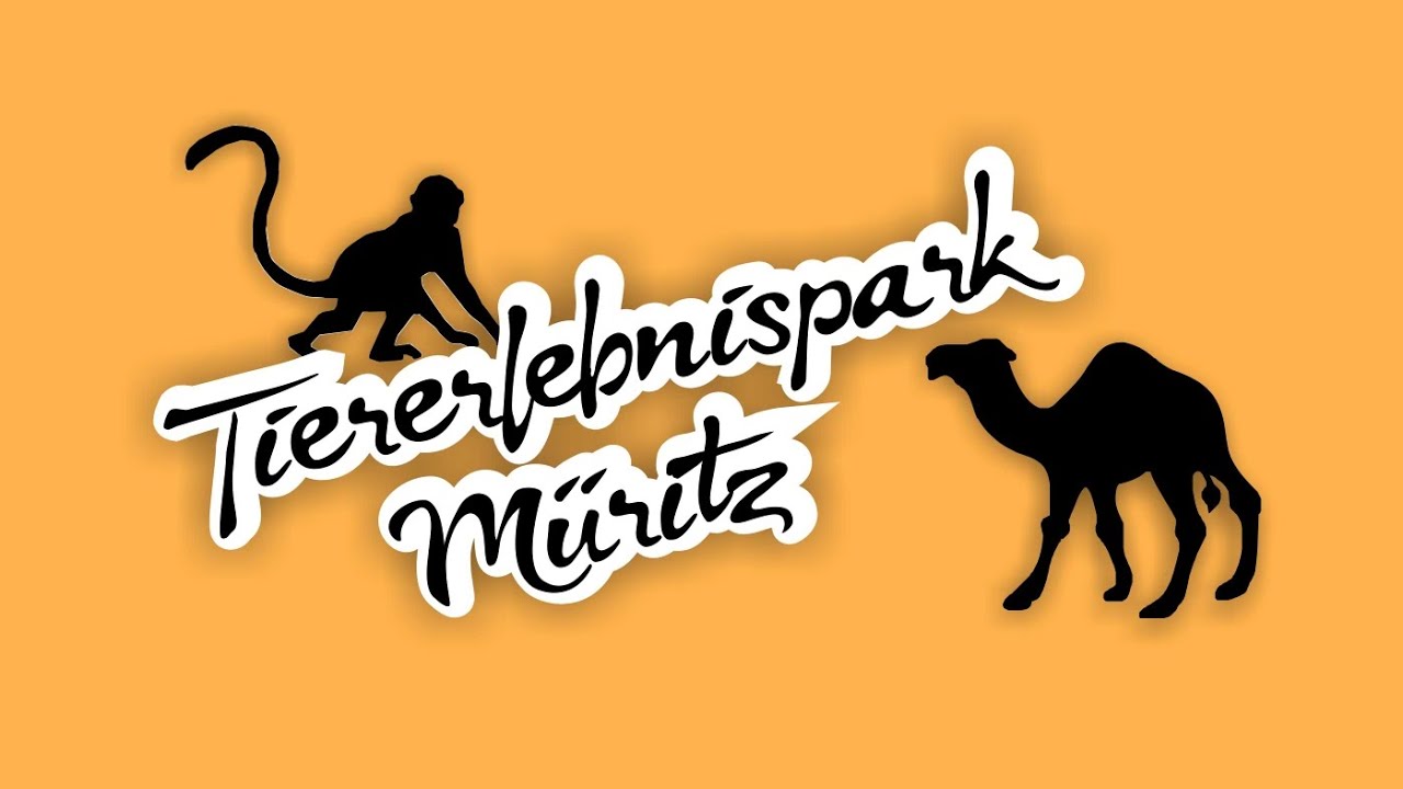 Teichchallenge im Tiererlebnispark Müritz