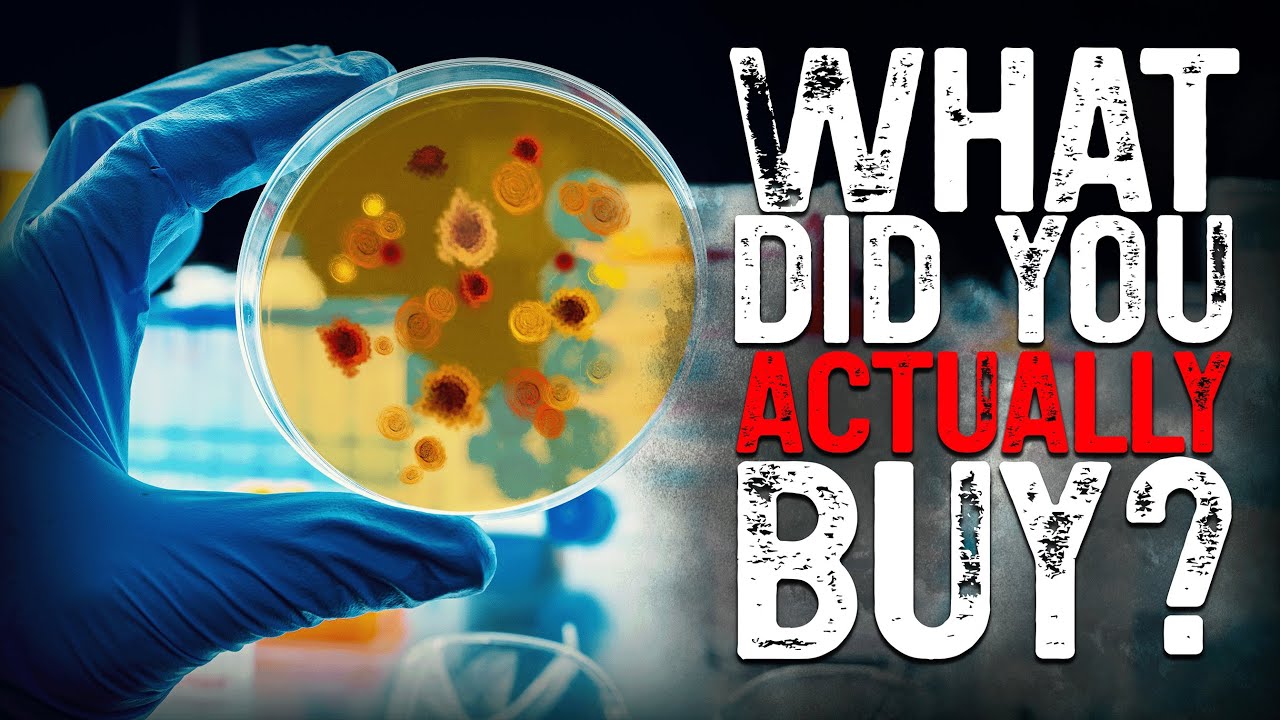 Gram Stain Explained: Spot the Bacteria Lurking in Your Liquid Culture Under the Microscope
