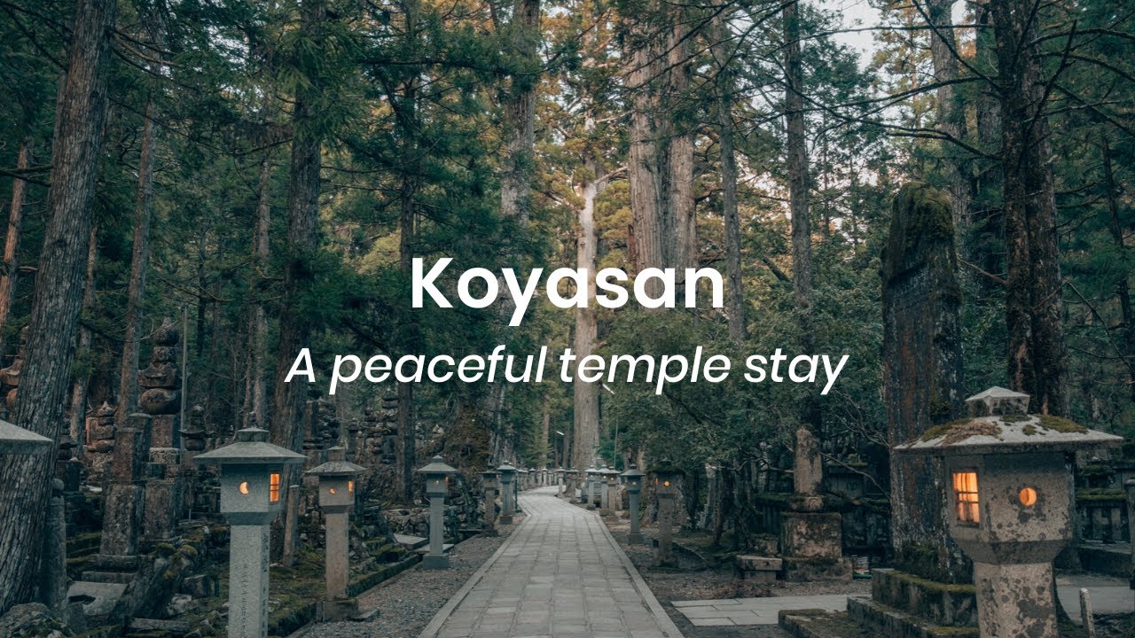 A peaceful temple stay in Koyasan, Japan | VLOG