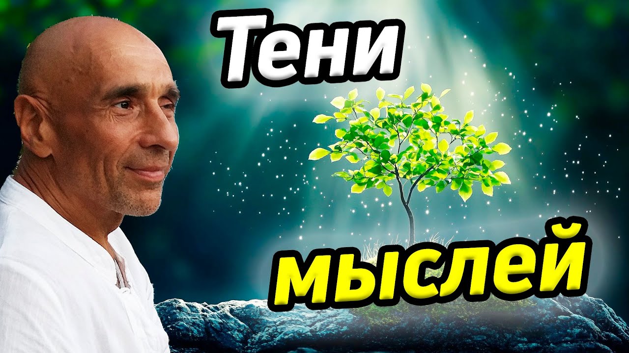 Сатсанг со Станиславом Милевичем