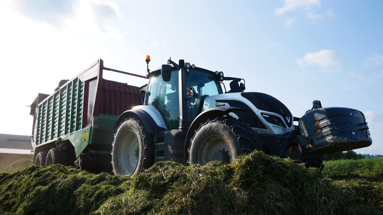 🍀Zbiór Traw 2025🍀GR Szczygieł🍀Valtra I Case🍀