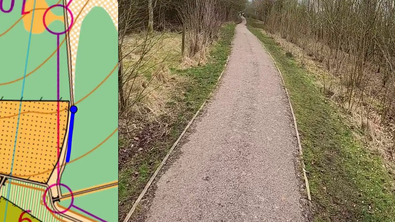 orienteering training