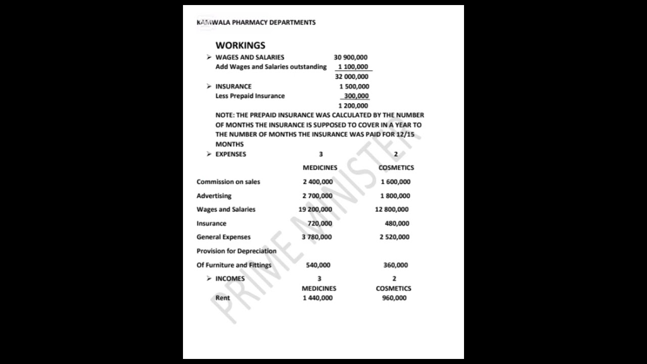2010 ACCOUNTS P2 ECZ SOLE TRADING 