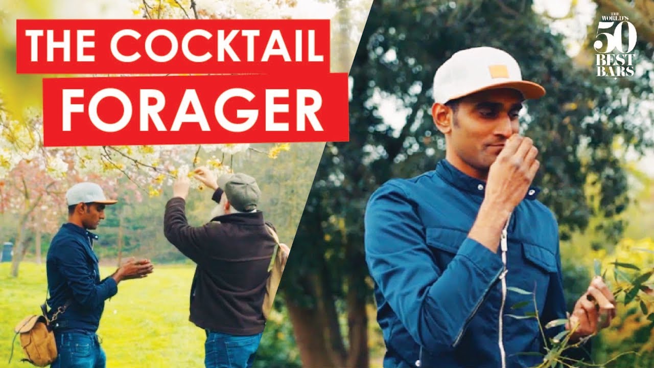 Foraging with Vijay Mudaliar - Altos Bartenders' Bartender
