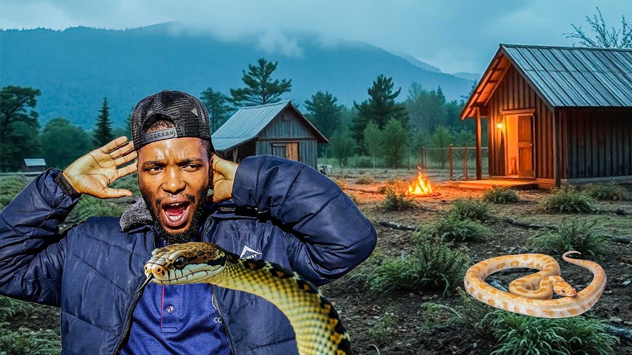 The Snake Farm in Mabvuku (GOSDEN).