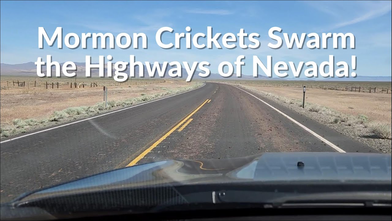 Most People Don’t Realize This When They Drive Through Nevada!