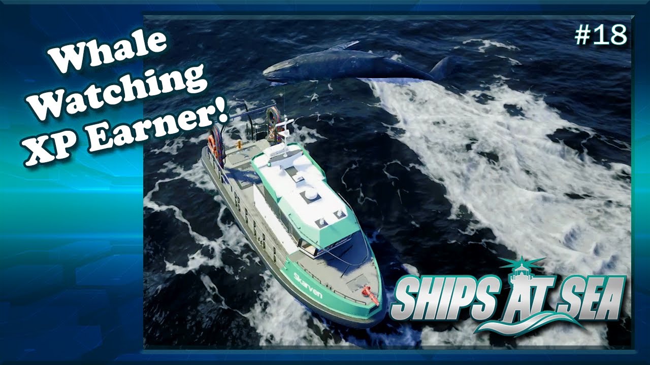 Earning GREAT XP Whale Watching! | Ep18 | Ships At Sea