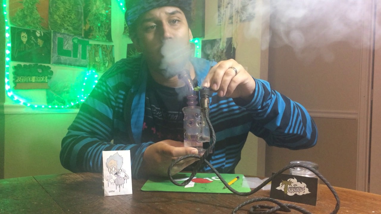 Terpenstein Blackbury Cream Exotic Nug Run Review
