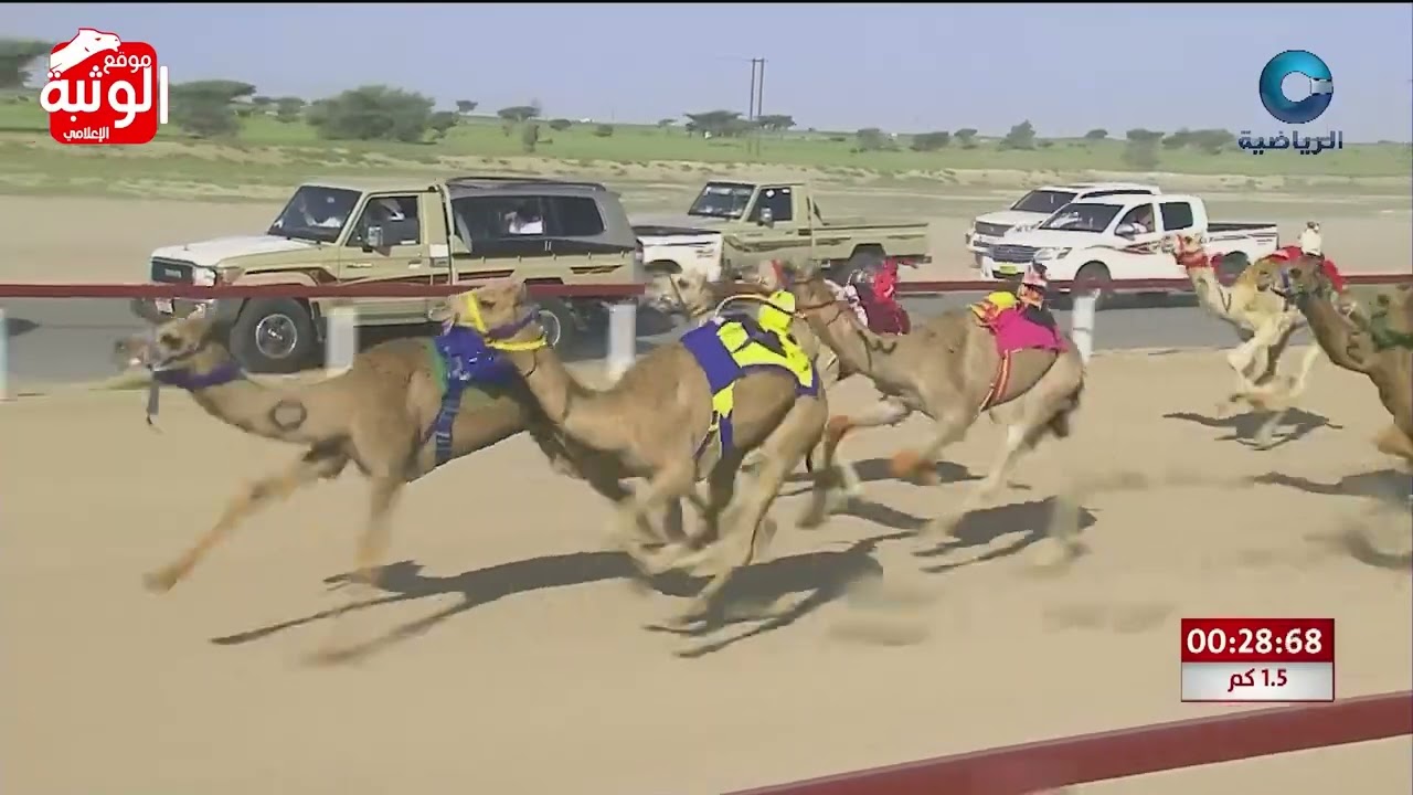 الشوط 1 الخنجر (شاهين) لـ عبدالله بن حميد العمري 2:05:76 ، مهرجان الأبيض الاهلي 2024/5/5 فطامين