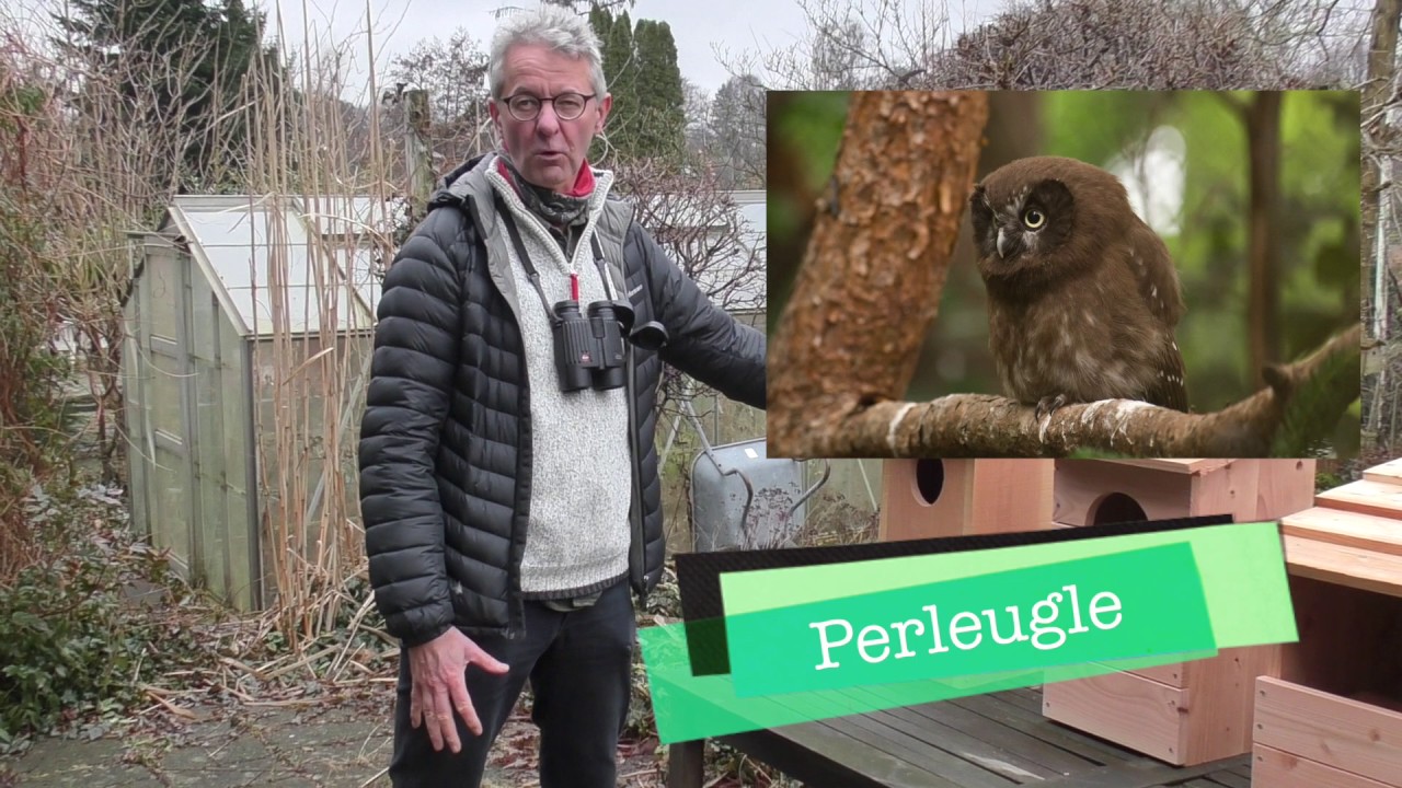 Fuglekasser 3: Ande og rovfuglekasser