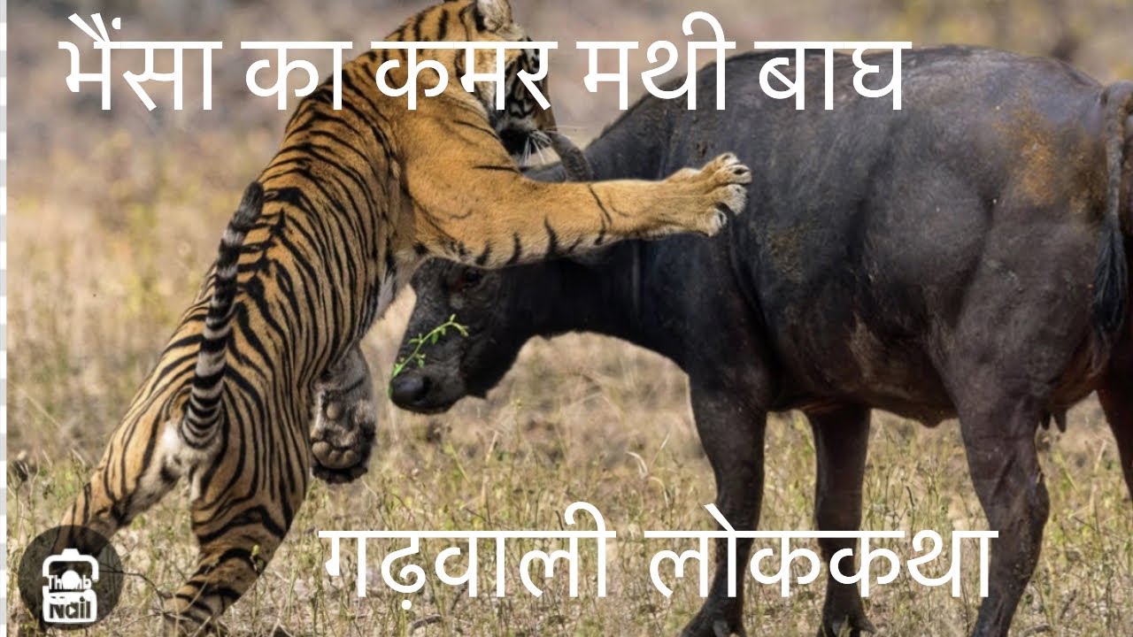 #pahadi #lokkatha           Garhwali lok katha  @SachuDikshavlog-07