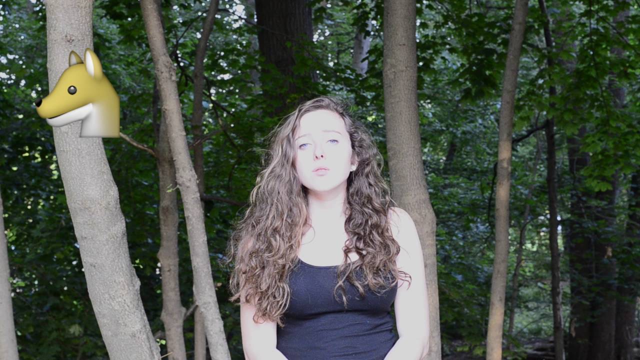 Temperate Deciduous Forest Biome Video