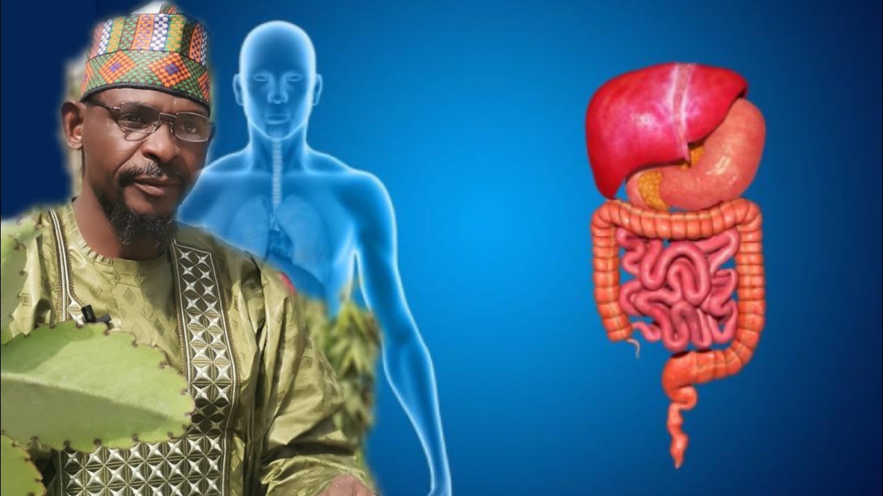 Magun-gunan Dake kone Cutittikan  Ciki Kamar Su Ulcer In Digestion Da sauran su