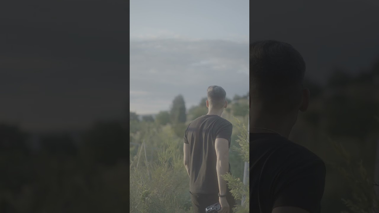 Cinematic Secrets Unveiled with Dehancer's Flawless Color Grading Techniques