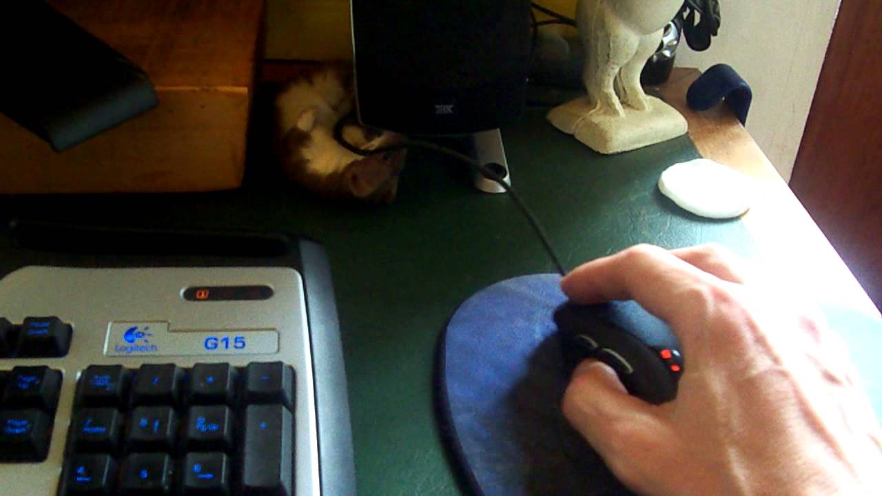 Ozzy the Weasel attacks helpless mouse!