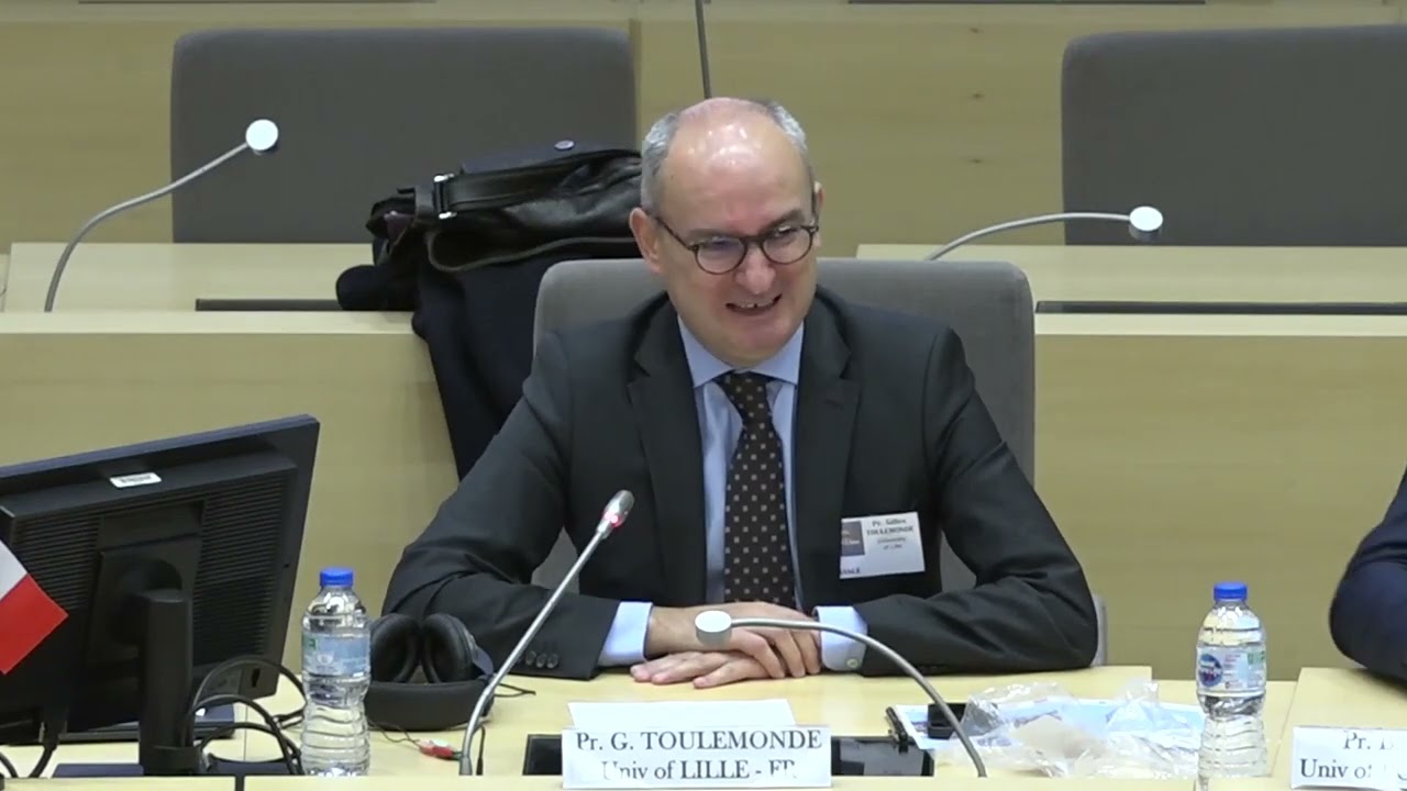 Emmanuel Cartier, Basile Ridard et Gilles Toulemonde, co-directeurs du projet