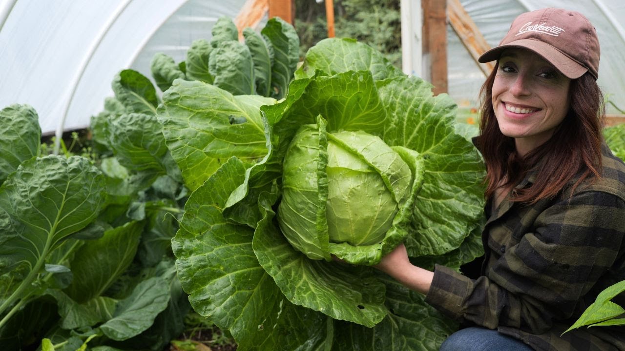 Alaska Subsistence Life: Garden Harvest, Wild Salmon + Sourdough