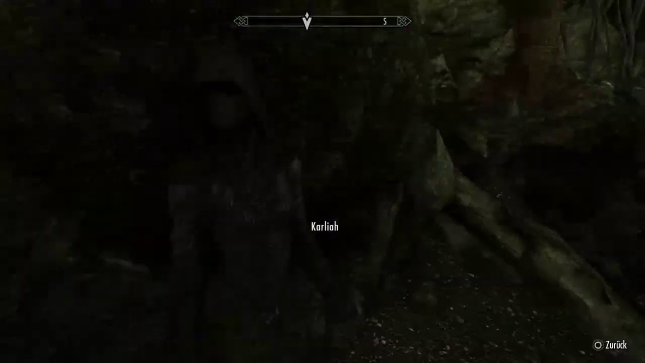 Skyrim. Diebes gilde beenden und Dunkle  Bruderschaft anfangen.