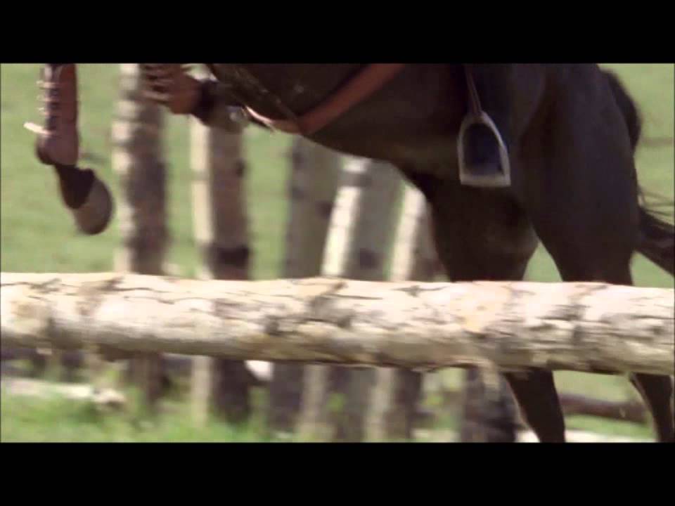 Heartland 1974