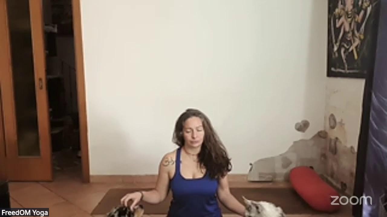 Yoga to improve flexibility while relaxing - Live Zoom yoga class (private class)