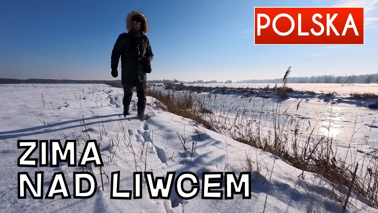 POLSKA Liwiec w zimowej scenerii, liczenia ptaków wodnych